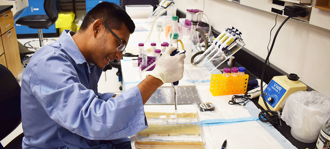 Science Ambassador Eddie Vargas working in a lab
